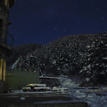 Lermont Guest House Lermontovo エクステリア 写真